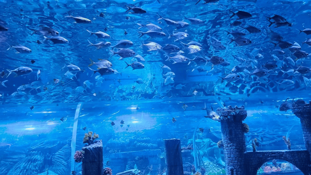Largest underwater tunnel in India