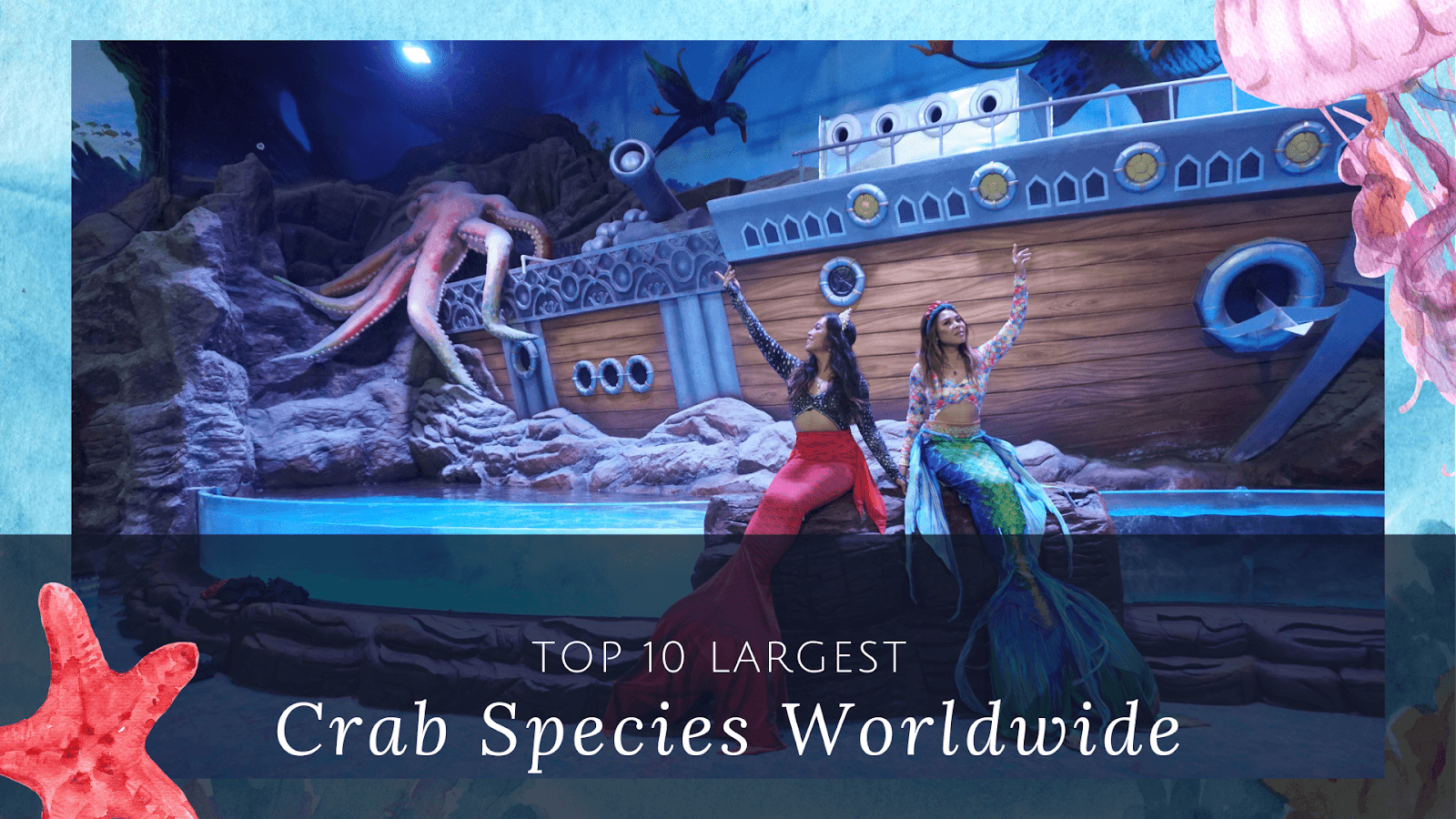 Top 10 Largest Crab Species Worldwide