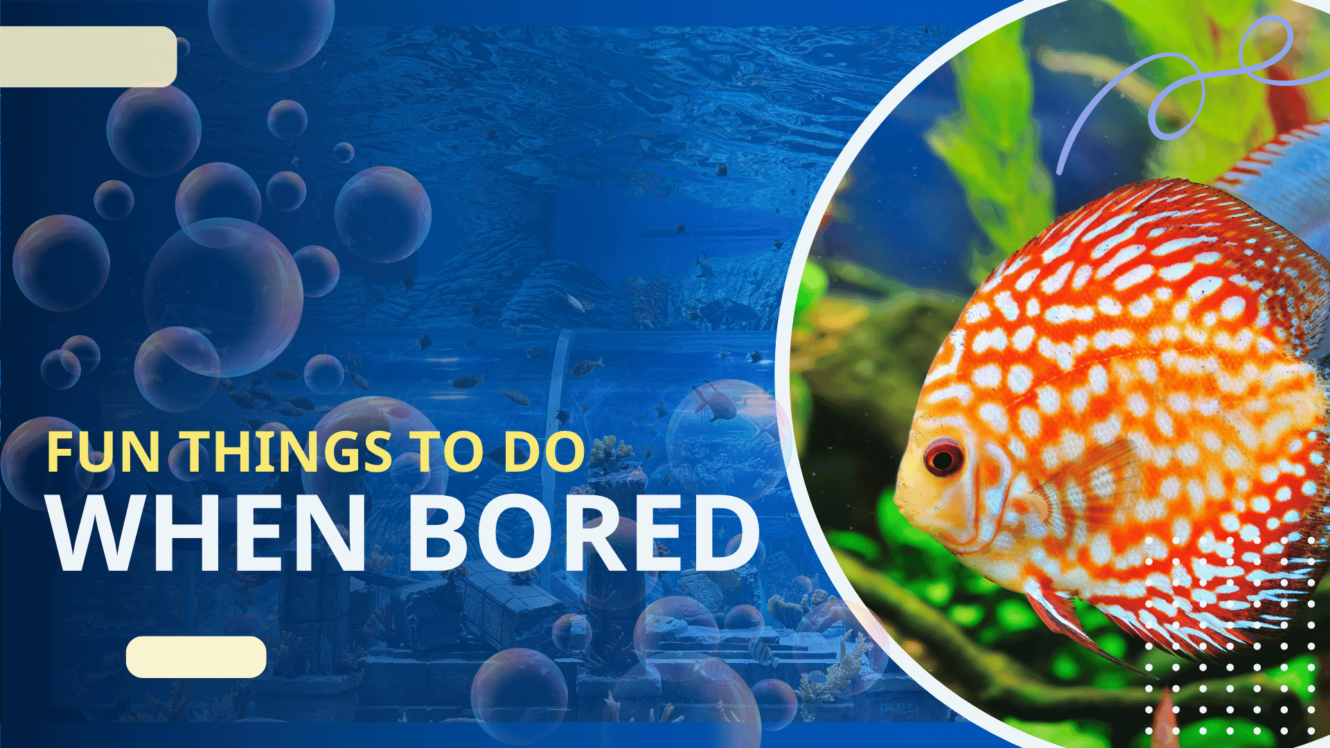 Fun Things to Do When Bored