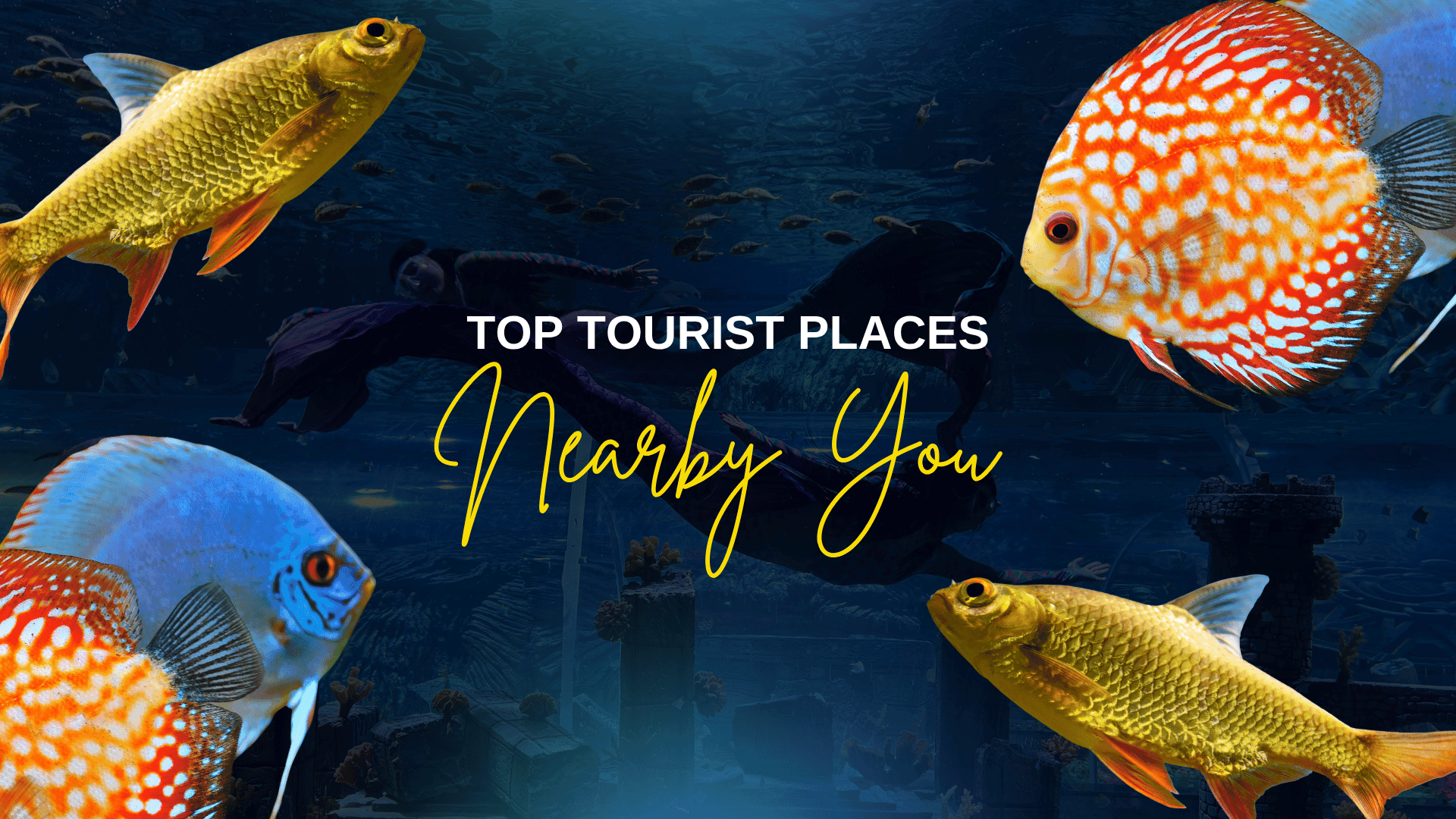 Top Tourist Places in Bangalore