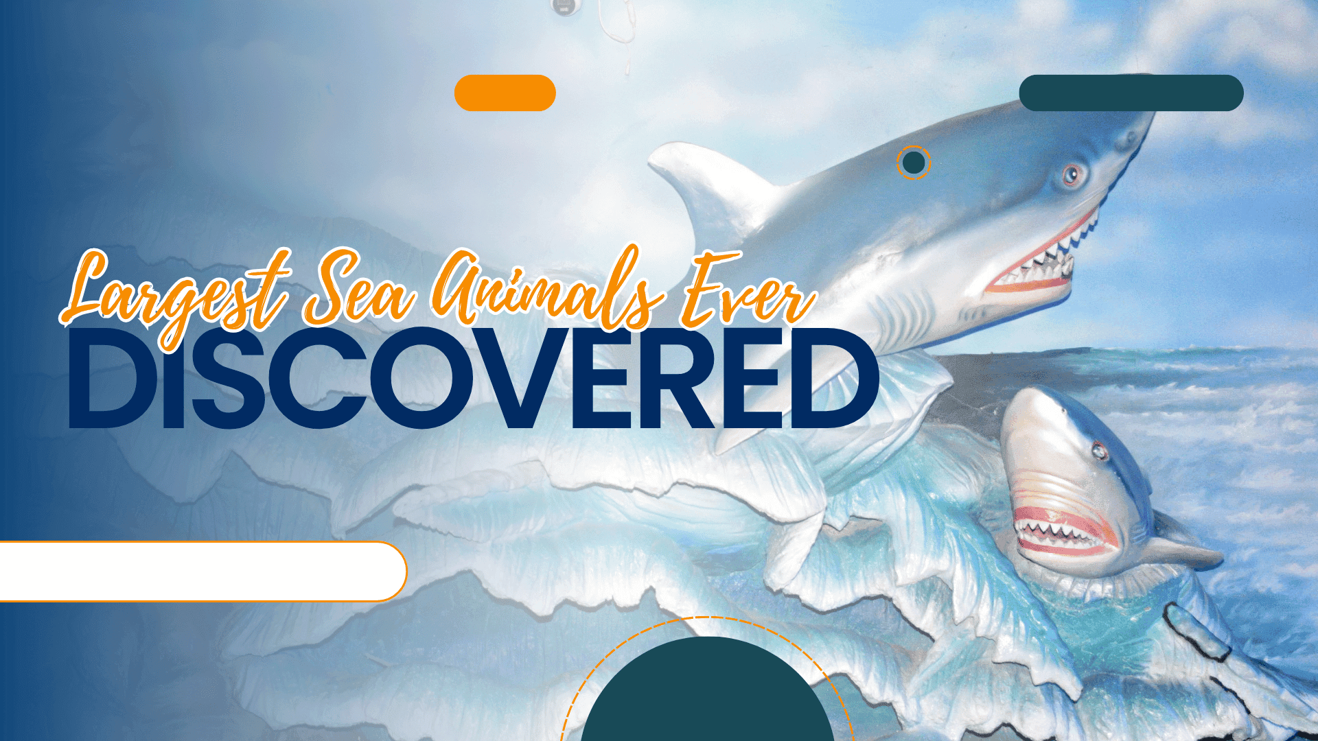 Largest Sea Animals Ever Discovered