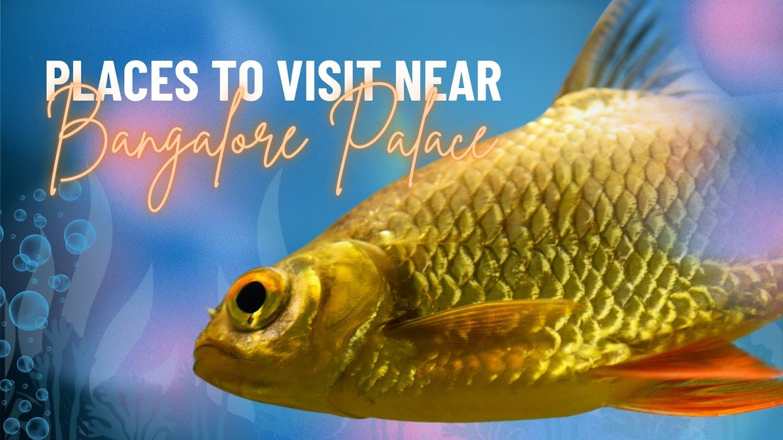 Places to Visit Near Bangalore Palace