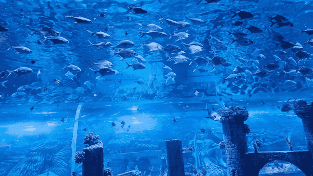 Largest underwater tunnel in India