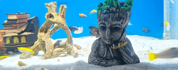 Aquarium Paradise image 1